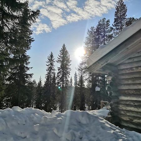 Mantytupa Lodge Syote Luaran gambar